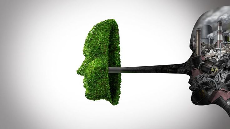 Greenwashing: Identifying False Claims